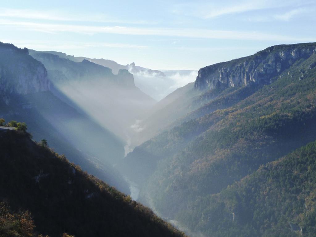 Gite La Cerise Qui Rit La Cresse المظهر الخارجي الصورة