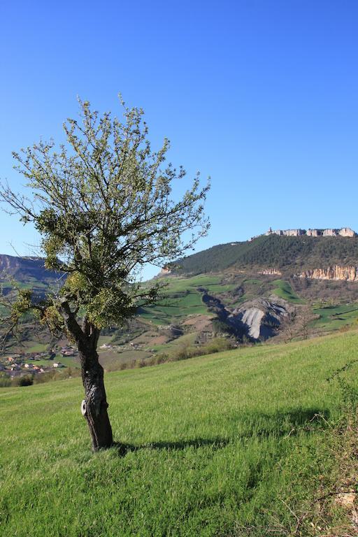 Gite La Cerise Qui Rit La Cresse المظهر الخارجي الصورة