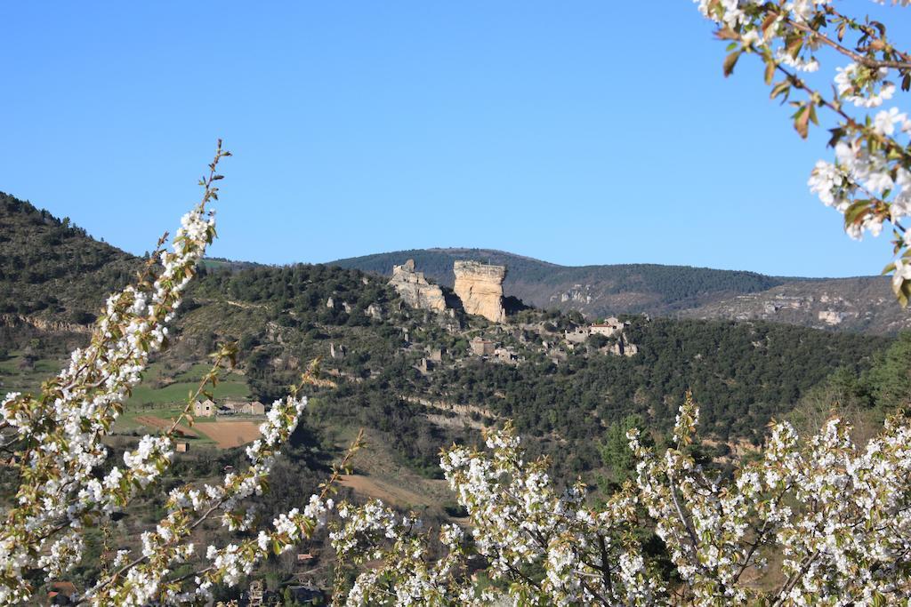 Gite La Cerise Qui Rit La Cresse المظهر الخارجي الصورة